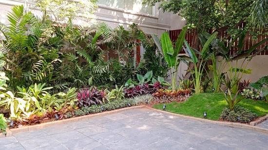 Softscape — tropical planting