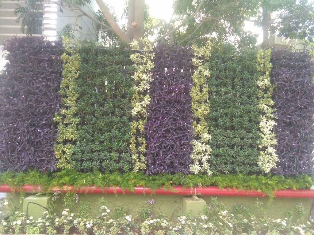 Vertical gardening — planted panels