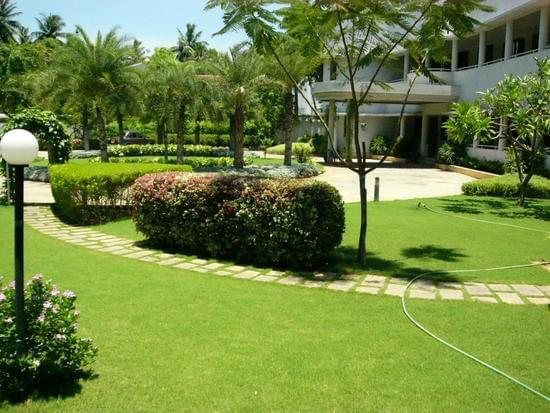 Garden maintenance — lawns