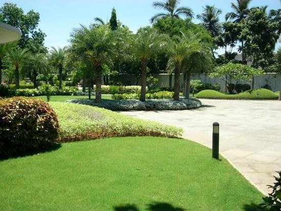 Garden maintenance — avenues