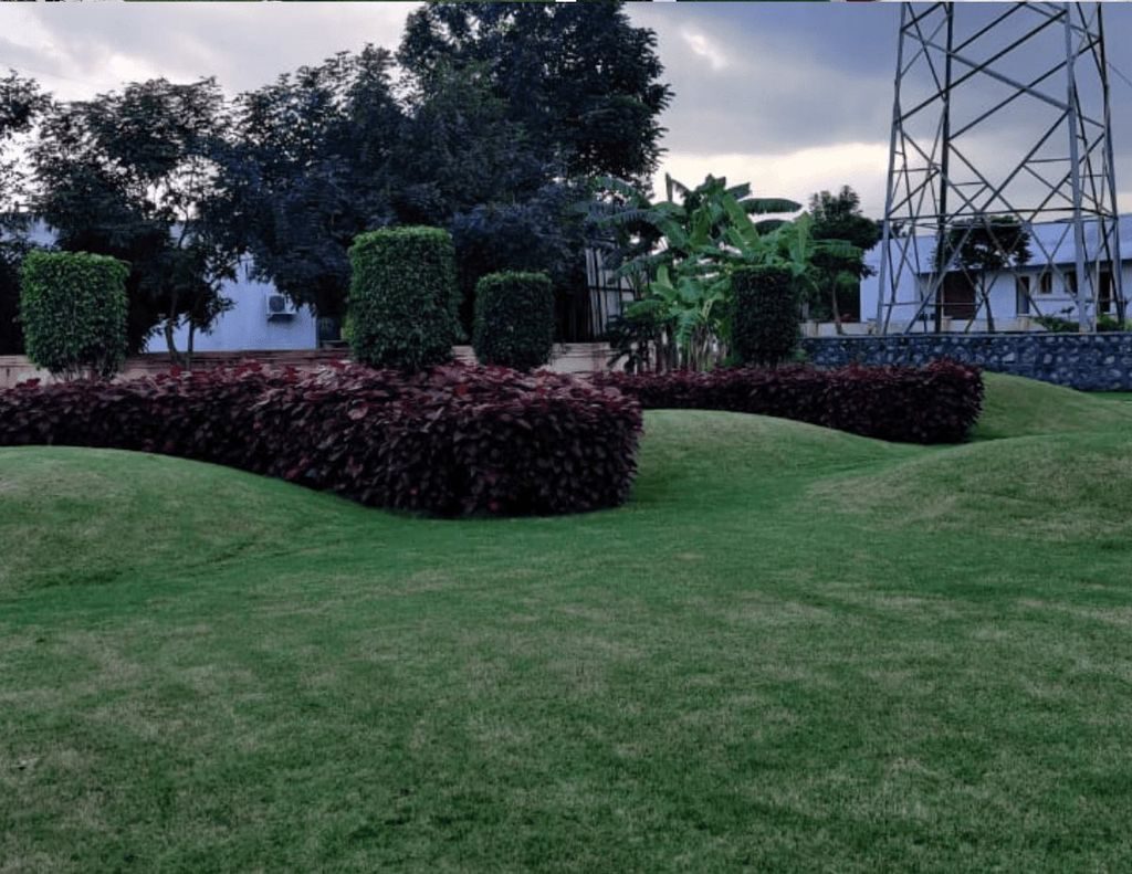 Garden maintenance — shaped hedges