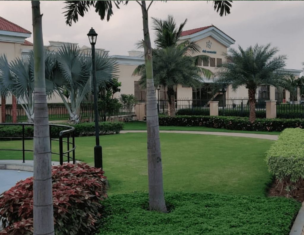 Garden maintenance — lawns and palms