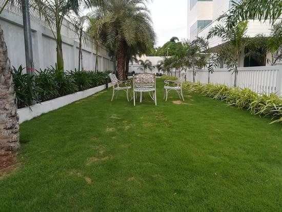 Garden care — lawns