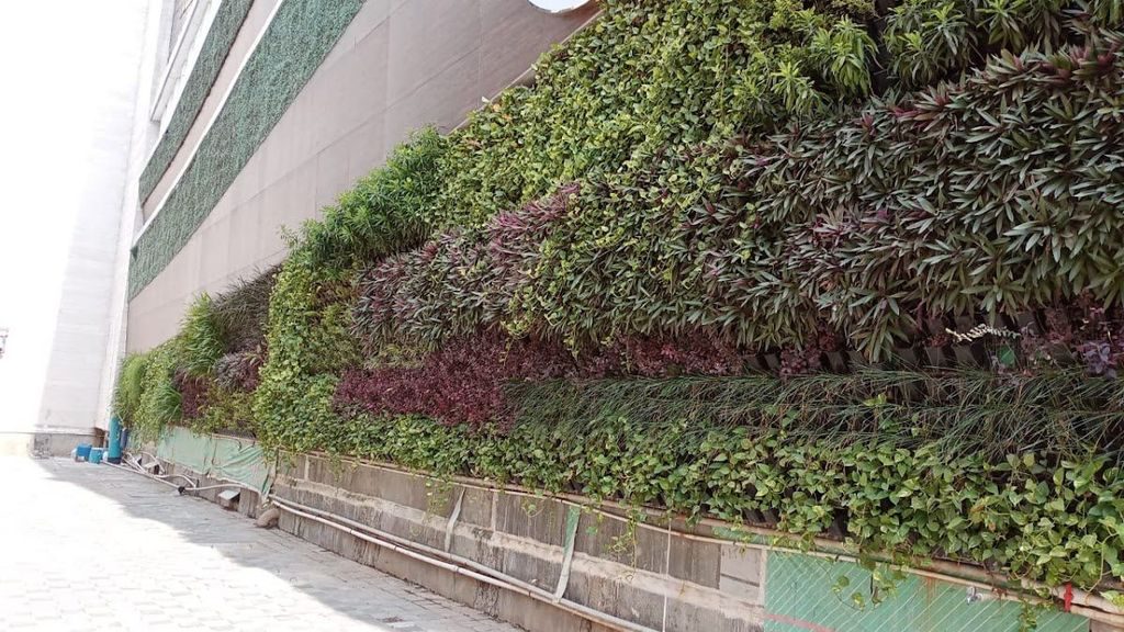 Green walls