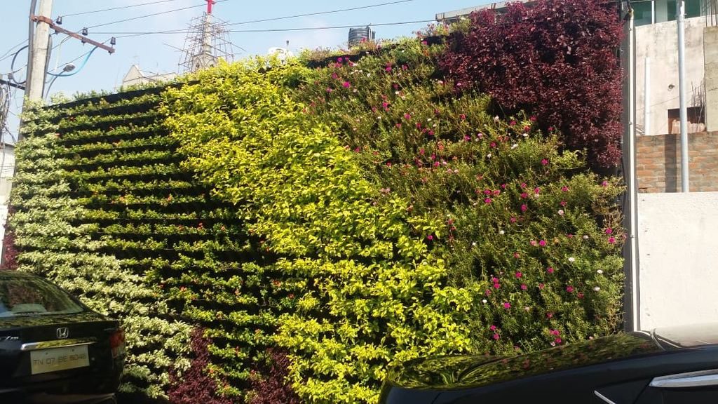 Green walls — patterned planting
