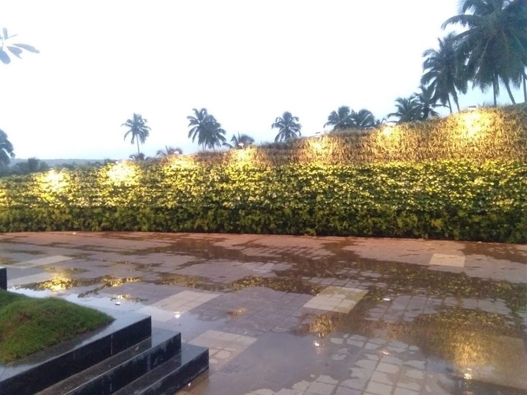 Green walls — illuminated walls