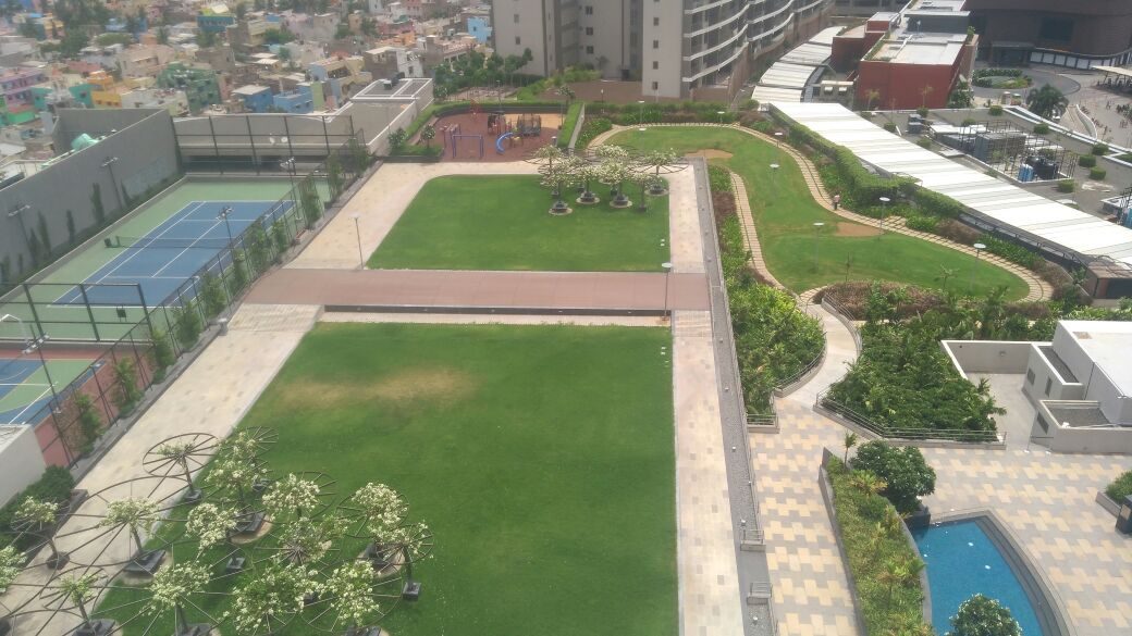 Terrace Pool Deck