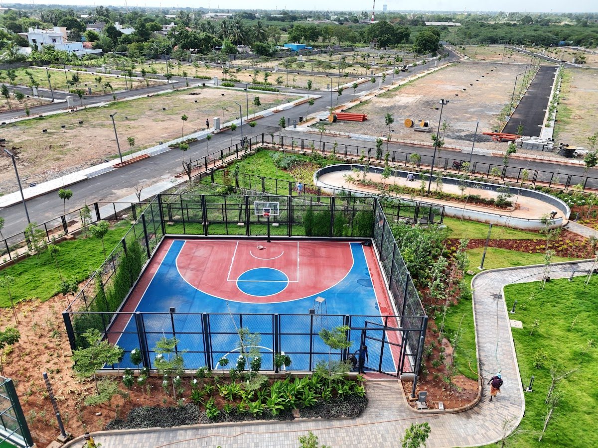 Basketball Court & Amenity Greens