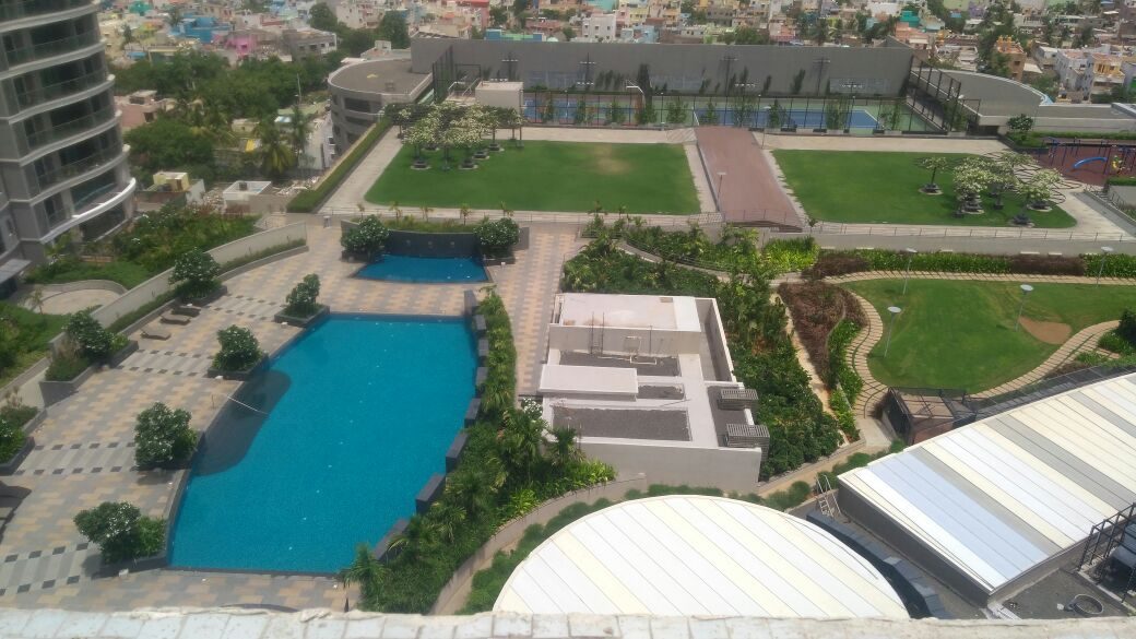 Podium Pool & Lawns